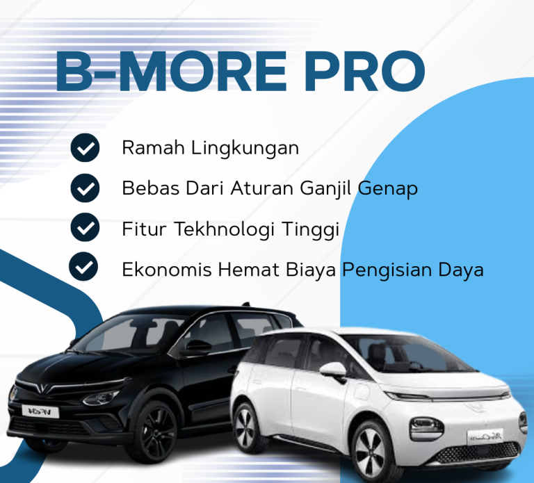b-more pro